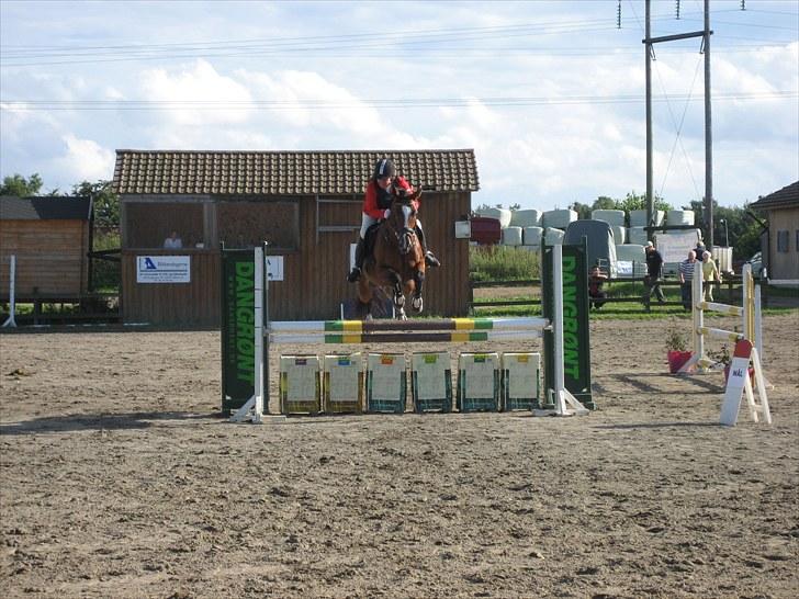 Holstener Valløs Lucky Mary - fredemarksgård klub stævne med klub cup vi red vores første lb. fik 2 nul runder og en flot 2 plads billede 3