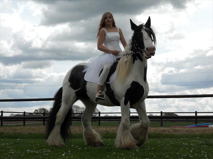 Irish Cob Elvis - Mig og min hest elvis på min konfirmationsdag d. 25 april billede 1