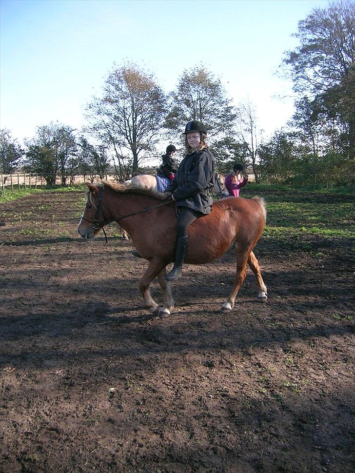 Anden særlig race Blis R.I.P - afsted igen blis<3 billede 6