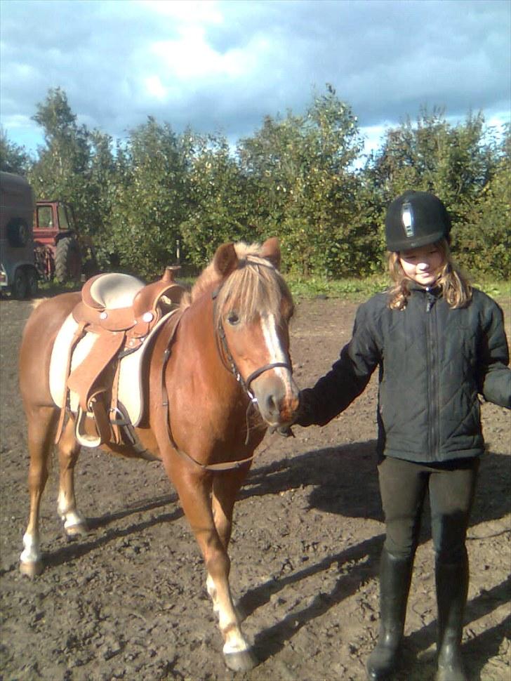 Anden særlig race Blis R.I.P - lidt ekstra tøse snak billede 8