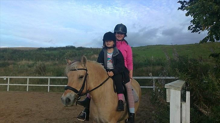 Fjordhest Emma Solgt billede 11