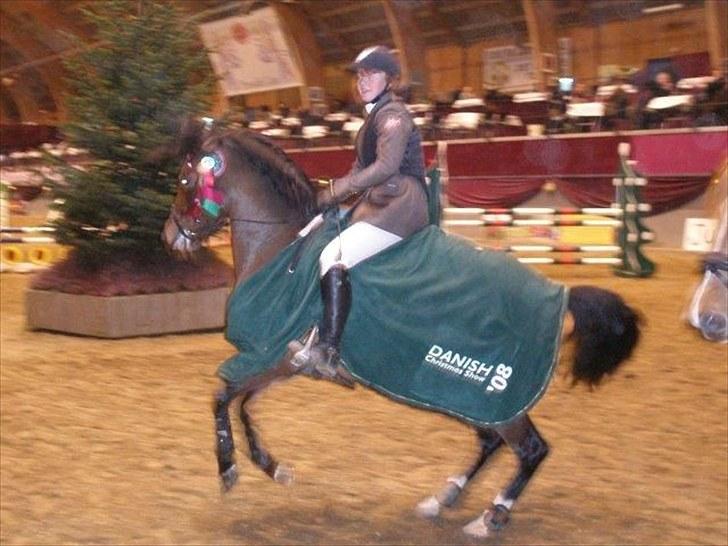 DSP Røgild's Artax billede 5