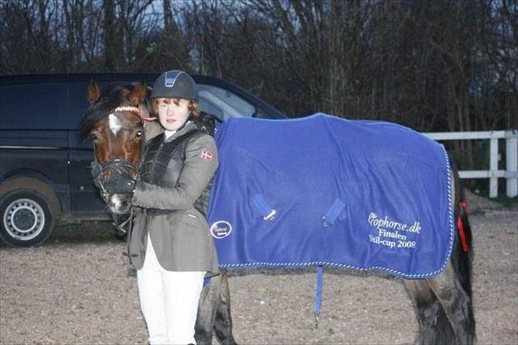 DSP Røgild's Artax billede 6