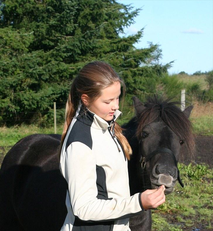 Islænder Assa fra BirkegårdenSOLGT - 4.- Jeg elsker dig Assa, sommer 2010- billede 4