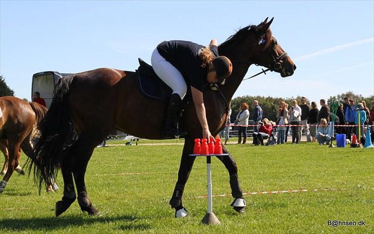 Oldenborg Lise Hessemosegård - kræmmerhus leg. en anden version:) foto kim bahnsen billede 12