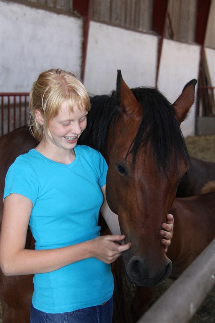 Connemara Maskenkol's Rebelix - Hygge! billede 10