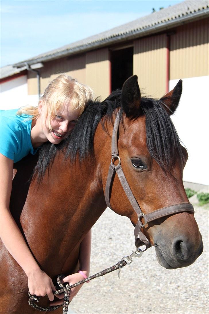 Connemara Maskenkol's Rebelix - Hygge! Du stoler 100% på mig:D billede 11