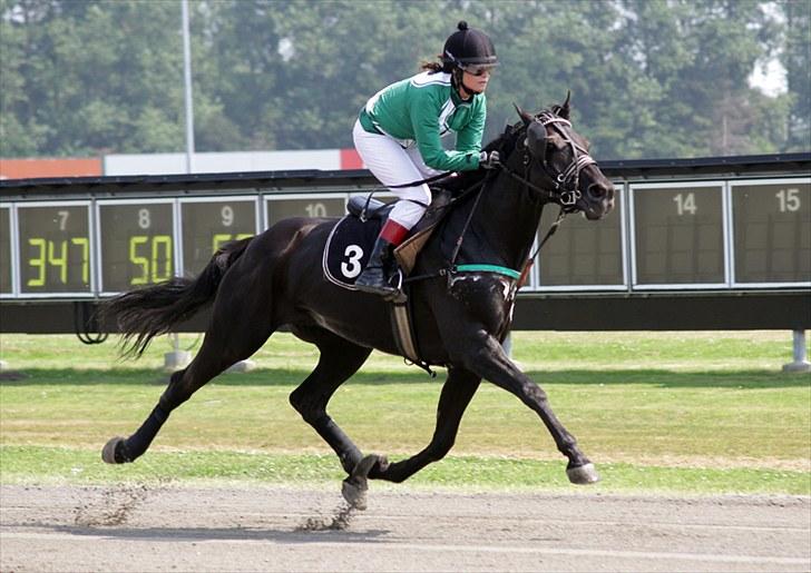 Traver Jammy Joe  billede 1