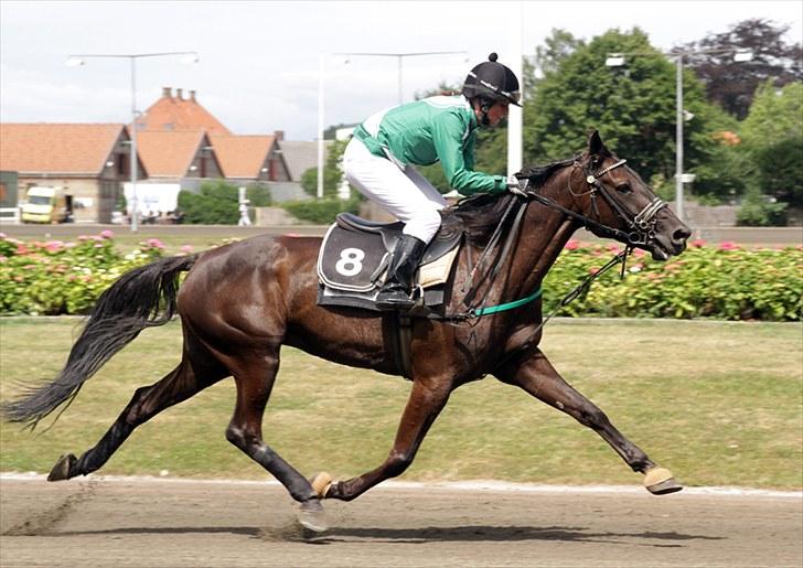 Traver Jammy Joe  billede 2