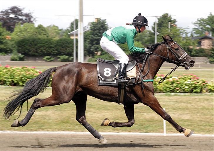 Traver Jammy Joe  billede 3