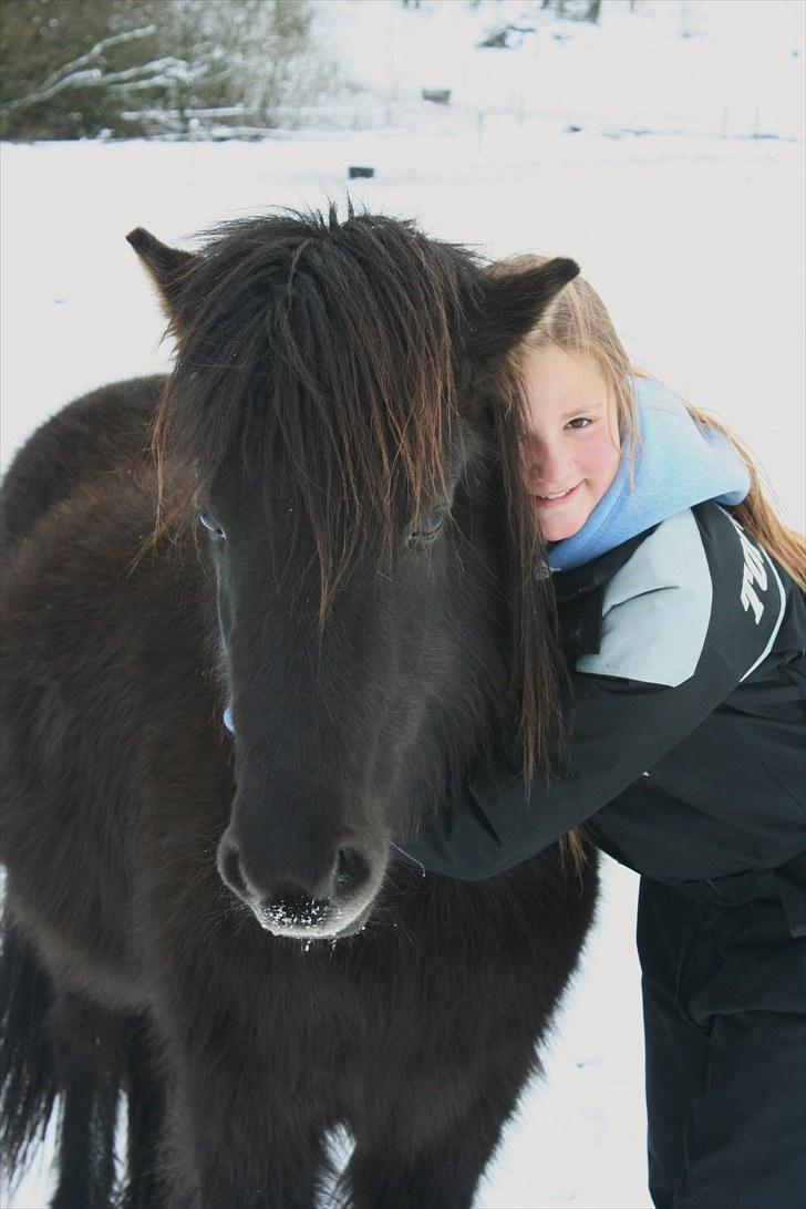 Islænder Assa fra BirkegårdenSOLGT - 6.- min dejlige Assa, vinter 2010- billede 6
