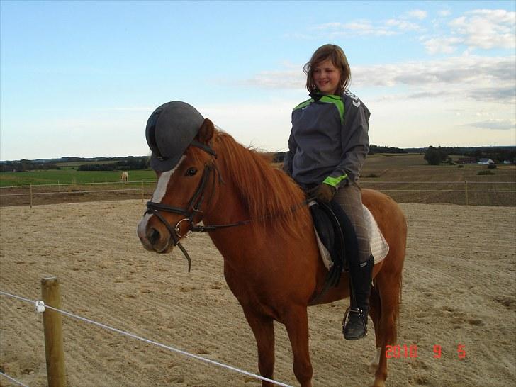 Anden særlig race Bounty - Man passer vel på sin pony ? billede 8