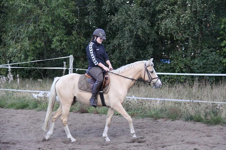 DSP Solvanggårds Athera billede 2