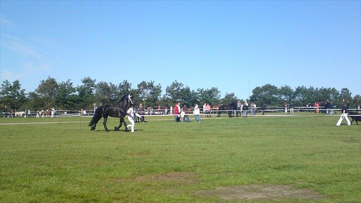 Frieser onno billede 19