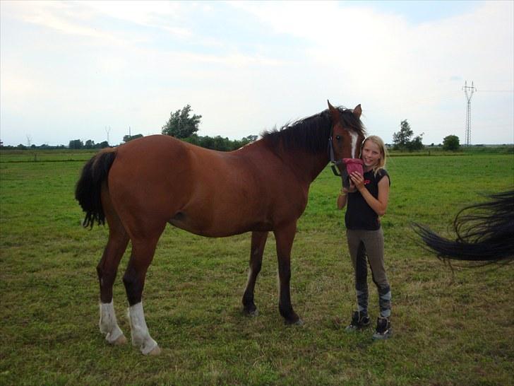 Anden særlig race Milchen Heather billede 8