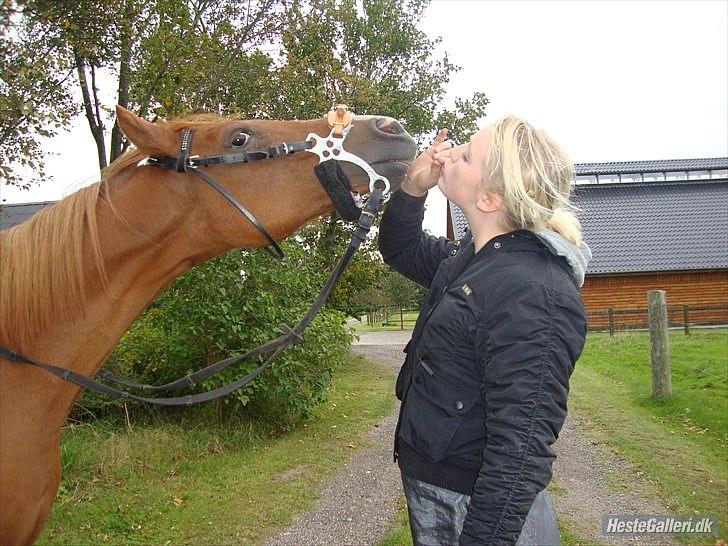 Anden særlig race Flower Power - En pony jeg så inderligt savner! <3 billede 1