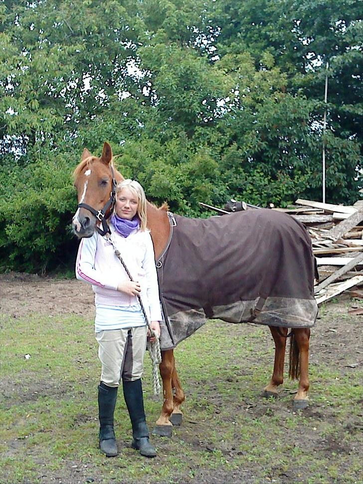 Anden særlig race Flower Power billede 6
