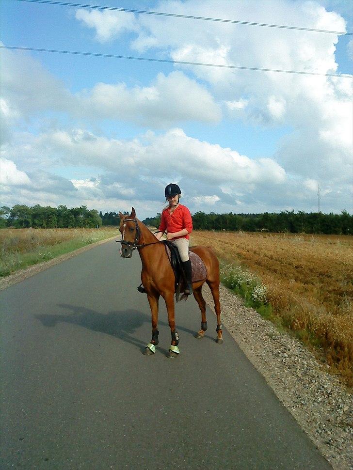 Anden særlig race Flower Power billede 7