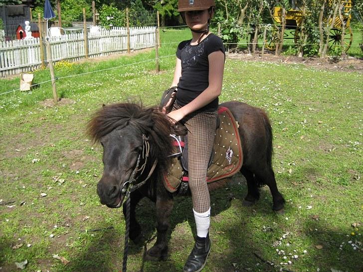 Anden særlig race Walodias Fifi - Fifi og Pernille..  billede 2