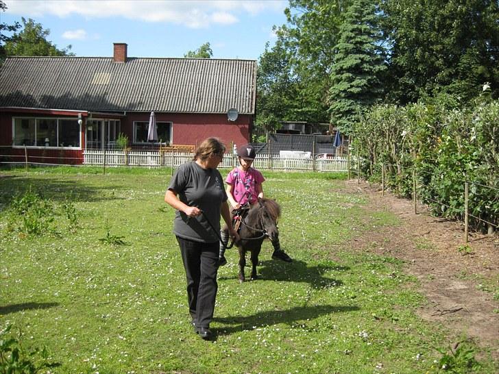 Anden særlig race Walodias Fifi - Fifi med Camilla i haven..  billede 3