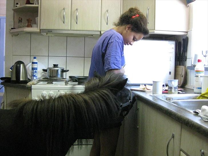 Anden særlig race Walodias Fifi - Altså Suany, kan du ikke skære de æbler lidt hurtigere?? billede 4