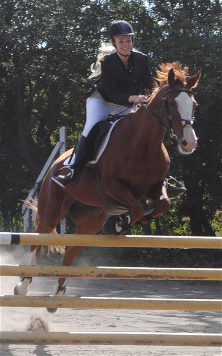 Anden særlig race Sahara ** LÅNTE ** - Første stævne, ULC. Eeelsker dig mus<3 billede 5