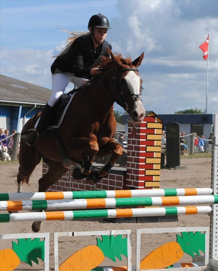 Anden særlig race Sahara ** LÅNTE ** - Første stævne ULD, fantastisk hest <3  billede 9