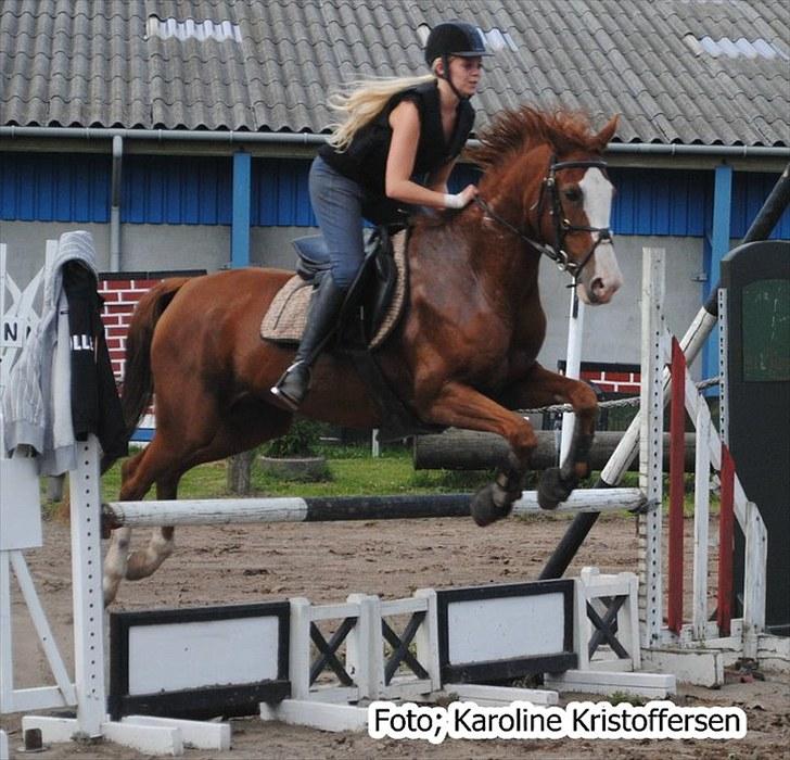 Anden særlig race Sahara ** LÅNTE ** - Springtræning Nir :D billede 7