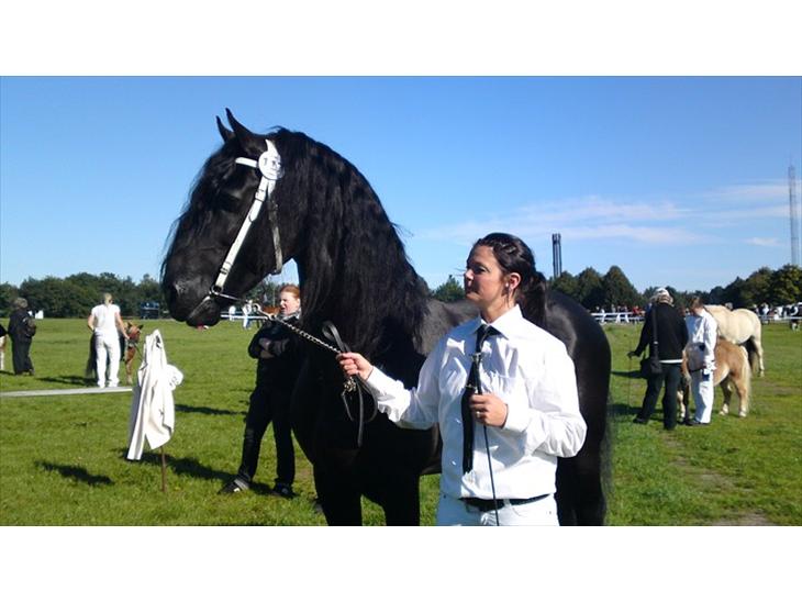 {{currentPhoto.altText}} billede {{currentPhoto.number}}