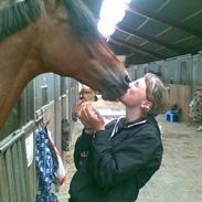 Anden særlig race Ferrari-Solgt:'( 