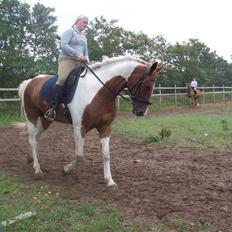 Anden særlig race Casandra af Lundegaardsve