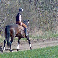 Anden særlig race farina