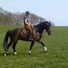 Anden særlig race farina