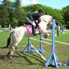 Fjordhest Perle *RIP <3*