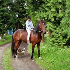 Traver Asscoba (D) [Himmelhest]