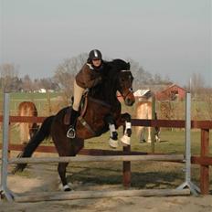 Traver Asscoba (D) [Himmelhest]