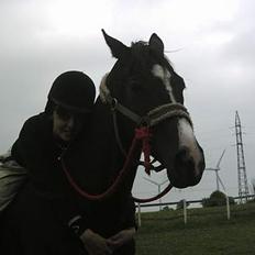 Anden særlig race Romeo(minde)