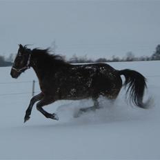 DSP <3 Freja. *I HIMLEN*