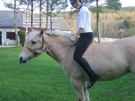 Fjordhest Frida <3 - Wee hehe [ 2/5 -2006 ] billede 16