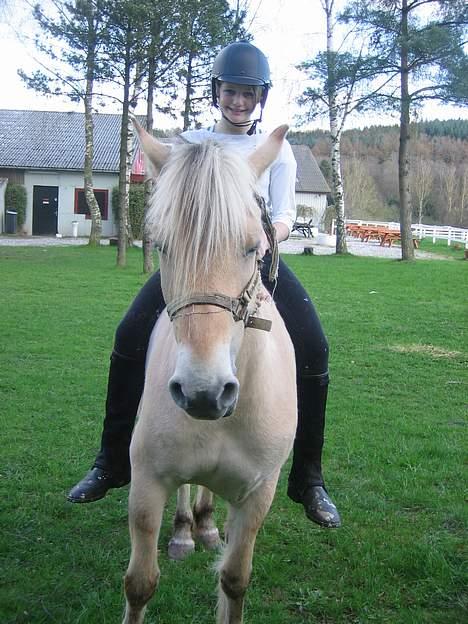 Fjordhest Frida <3 - Celina og Frida.. [ 2/5 -2006 ] billede 19