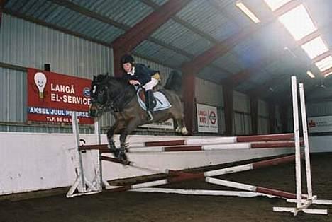 Anden særlig race Filur rakosi  solgt - til sponserspring billede 10