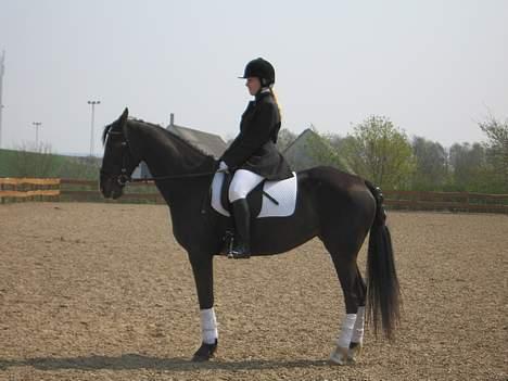 Oldenborg Cia Celina billede 20
