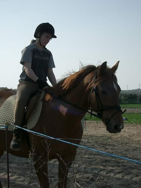 Anden særlig race Laban SOLGT - rigtig flot af min dejlige dreng.... billede 3