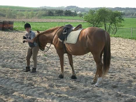 Anden særlig race Laban SOLGT - han gnuppede sig op af min røv... hehe billede 6