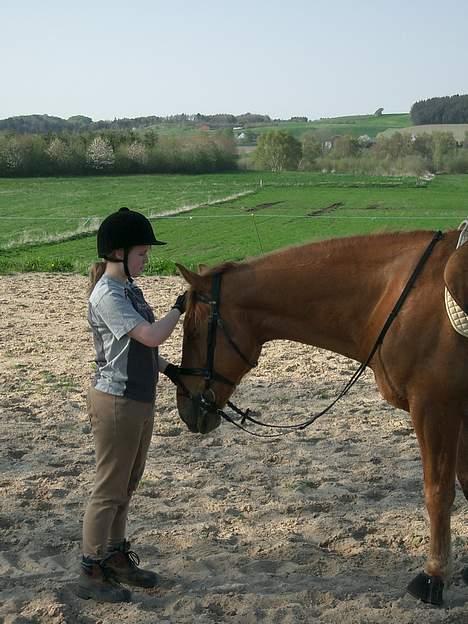 Anden særlig race Laban SOLGT - Hyggetrold... Med stort H... billede 7