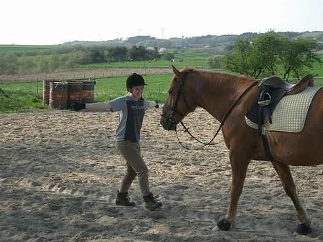 Anden særlig race Laban SOLGT - taar daaa....hehe billede 8