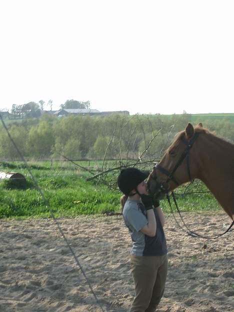 Anden særlig race Laban SOLGT - myyyysss... billede 9