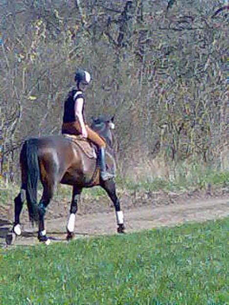 Anden særlig race farina - farina på en lille skridt tur... billede 2
