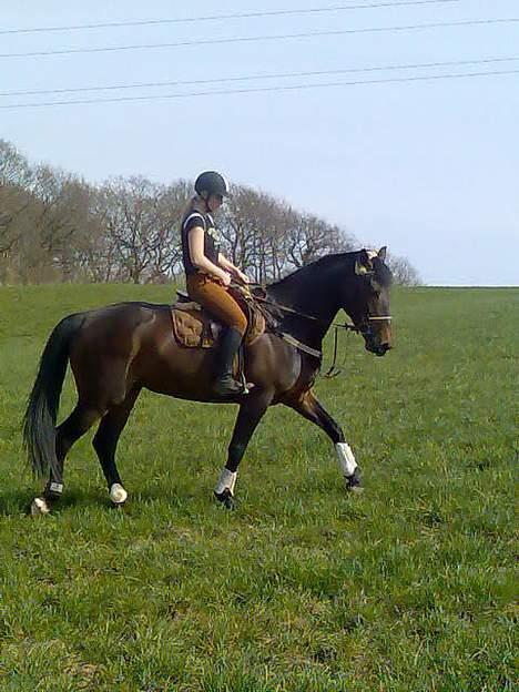 Anden særlig race farina - stadig på tur.. billede 3