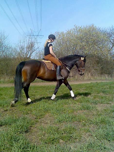 Anden særlig race farina - nu vil hun bare hjem.. billede 4